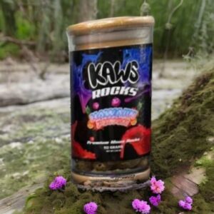 Legendary Kaws Rocks Hawaiian Punch
